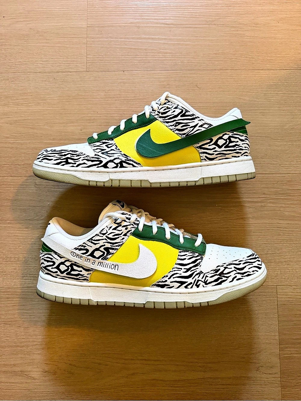 Nike Dunk Low x Doernbecher 'Zoe' Size 13